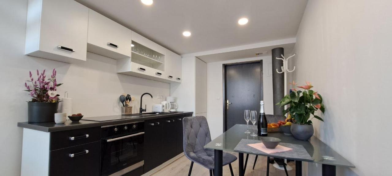 Ljubljana Nest- Centre, Free Parking- Renovated August 2024 Apartment Bagian luar foto